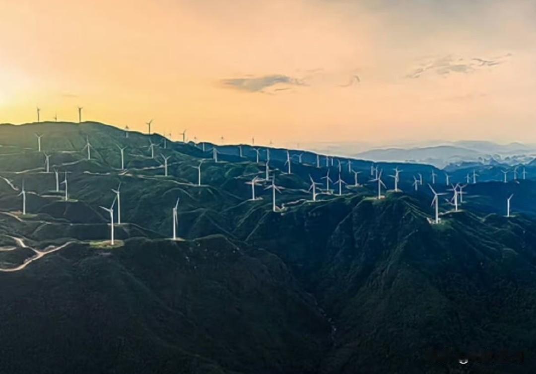 特朗普在白宫主持煤炭能源推广会。
他声称自己向来不喜欢那些疯狂的风力发电机，而且