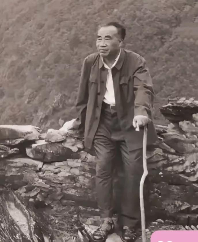 珍贵的历史照片。
这是一张1962年，朱德来到井冈山，重温当年战斗过的场景，这一