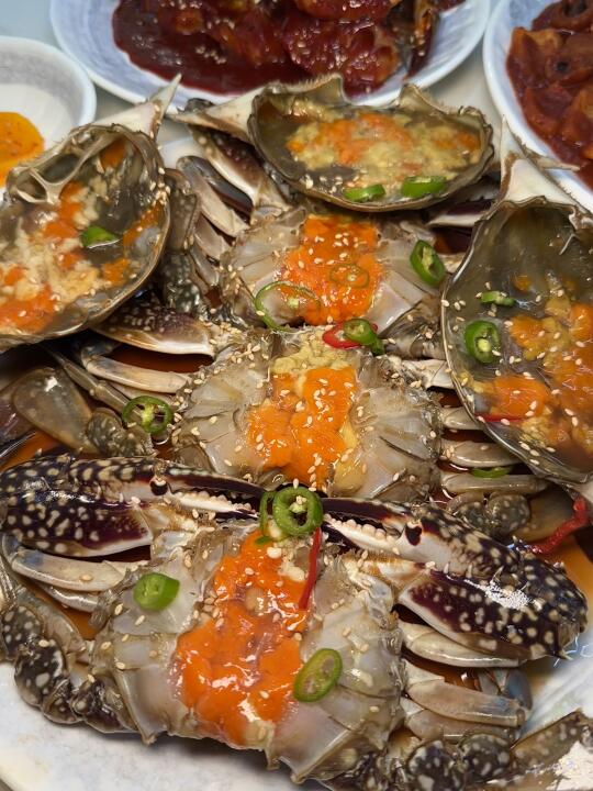 济州岛的酱蟹实在太好吃了🦀