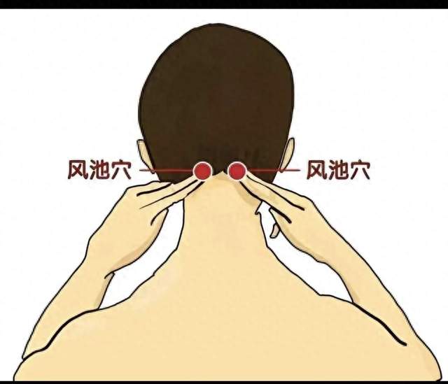 秋天眼睛干涩总反复，病根不在眼球，在后脑勺风池穴