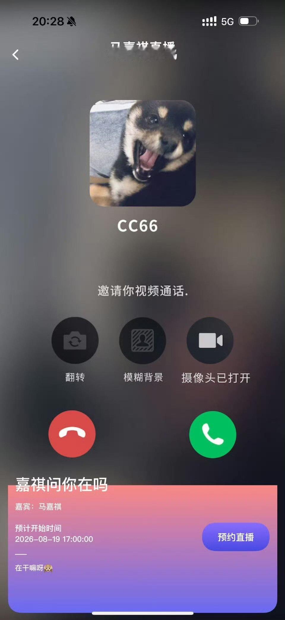 马嘉祺七夕直播马嘉祺七夕高会直播 cc66好宠 