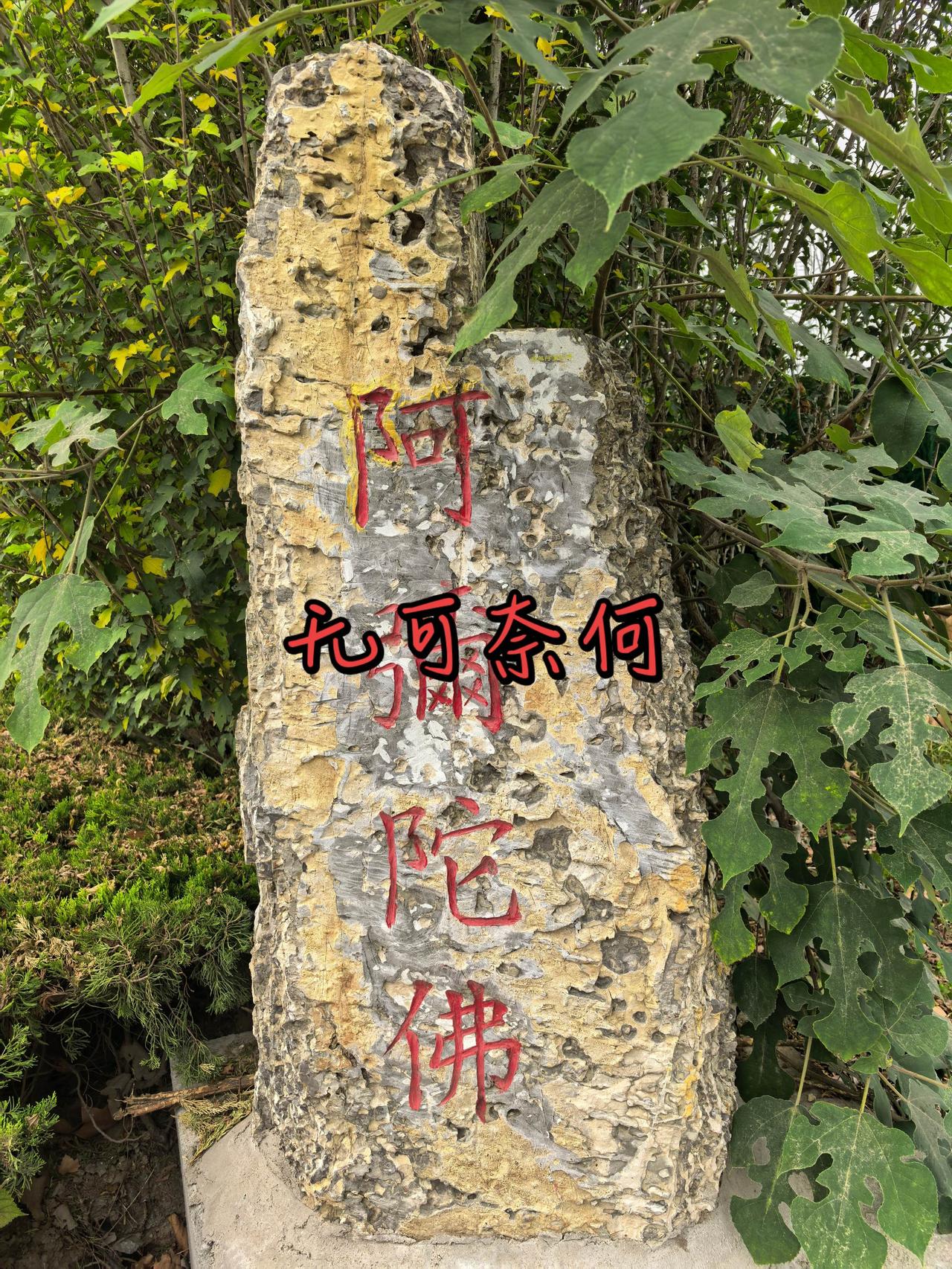 人生有很多的无可奈何