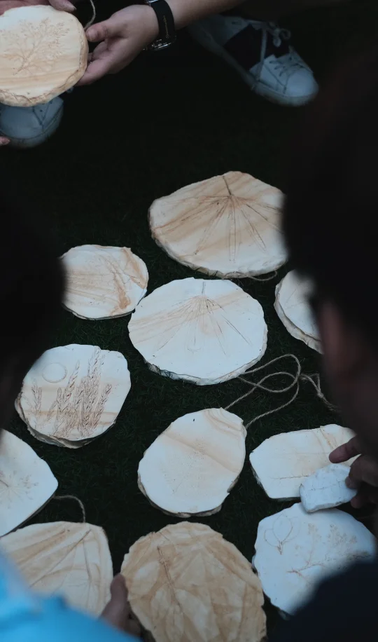 🌿大自然才是最懂氛围的团建导师