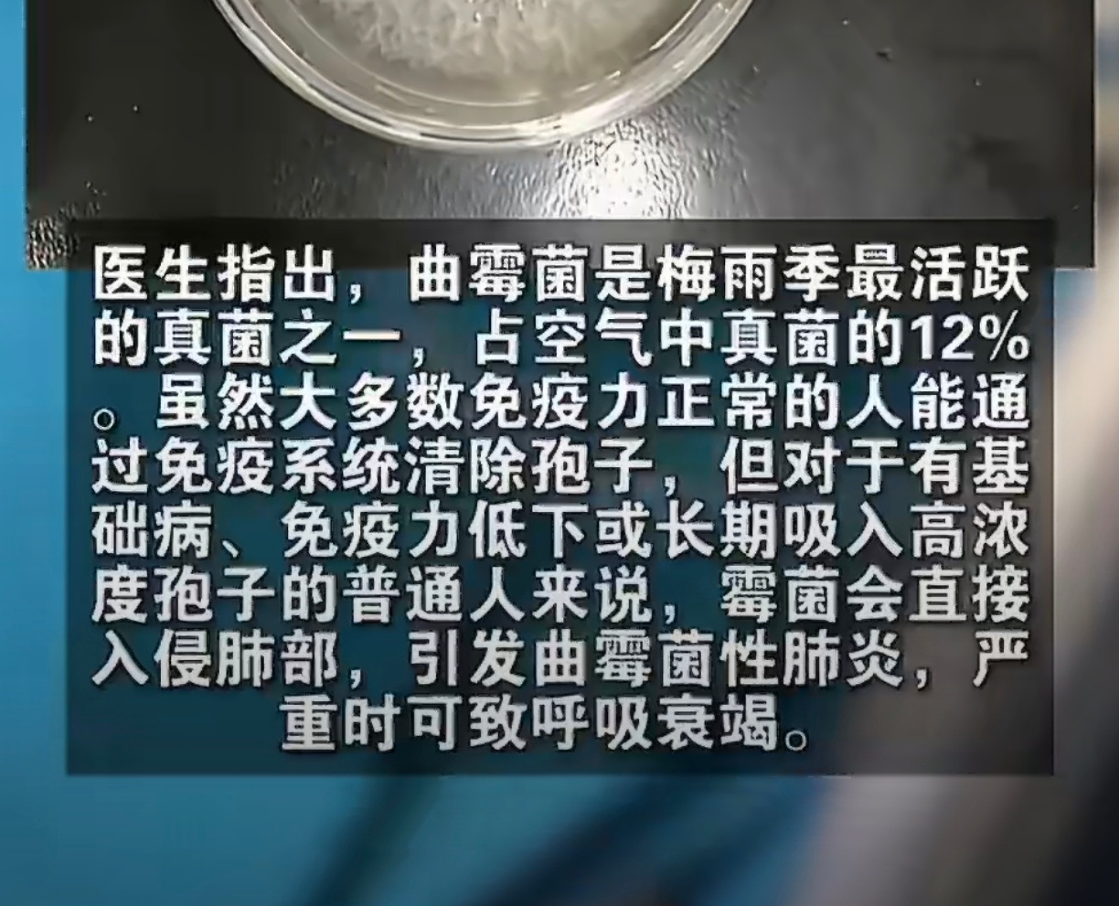 夫妻肺部感染撬开家中地板长满霉菌俩夫妻都感染了啊！这玩意严重还会导致呼吸衰竭 还