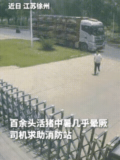 江苏徐州一消防站火了！货车司机大喊救命，车上百头猪快热死了，消防员会怎么做？
大