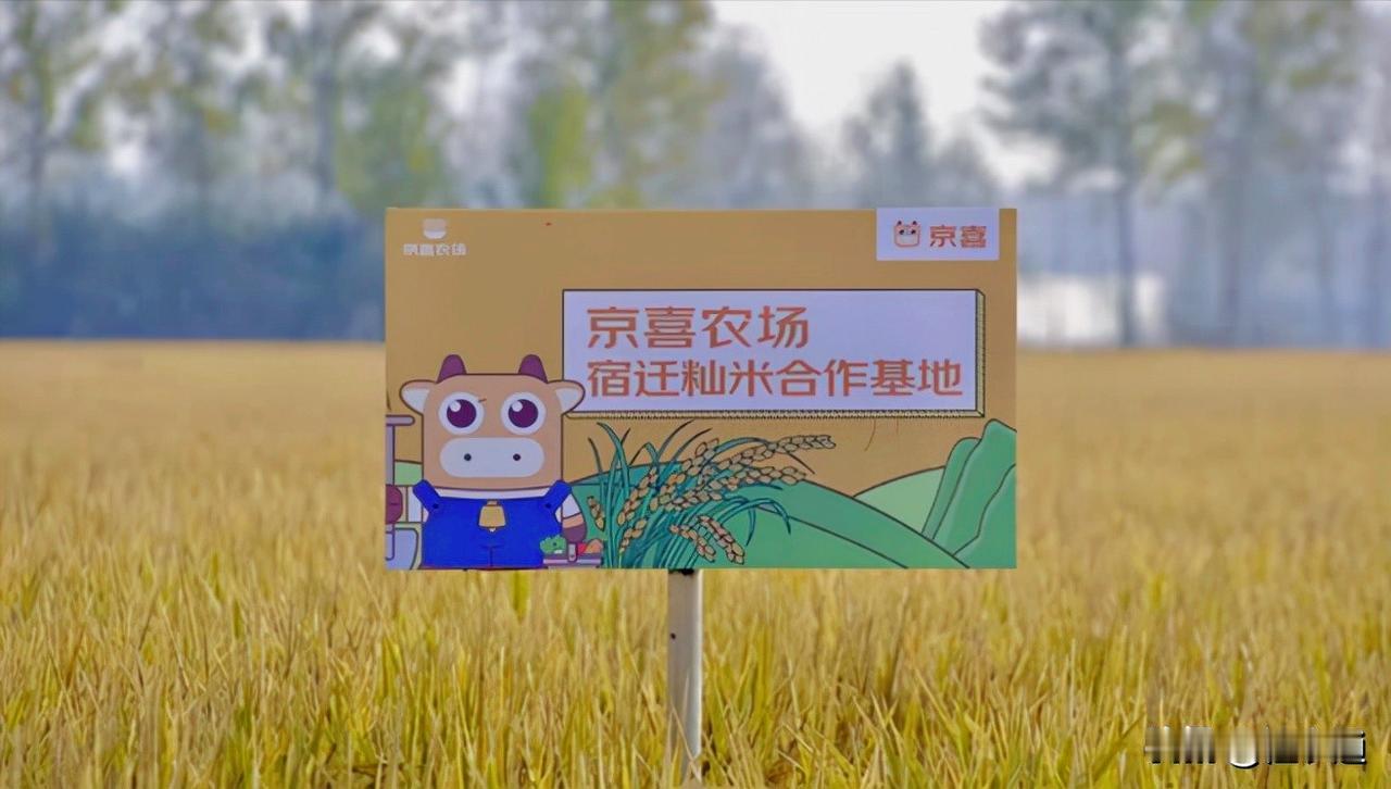 乡村振兴是一项需要全民参与的大事业，有无数的优秀大学生深入基层，写下“秀美人生”