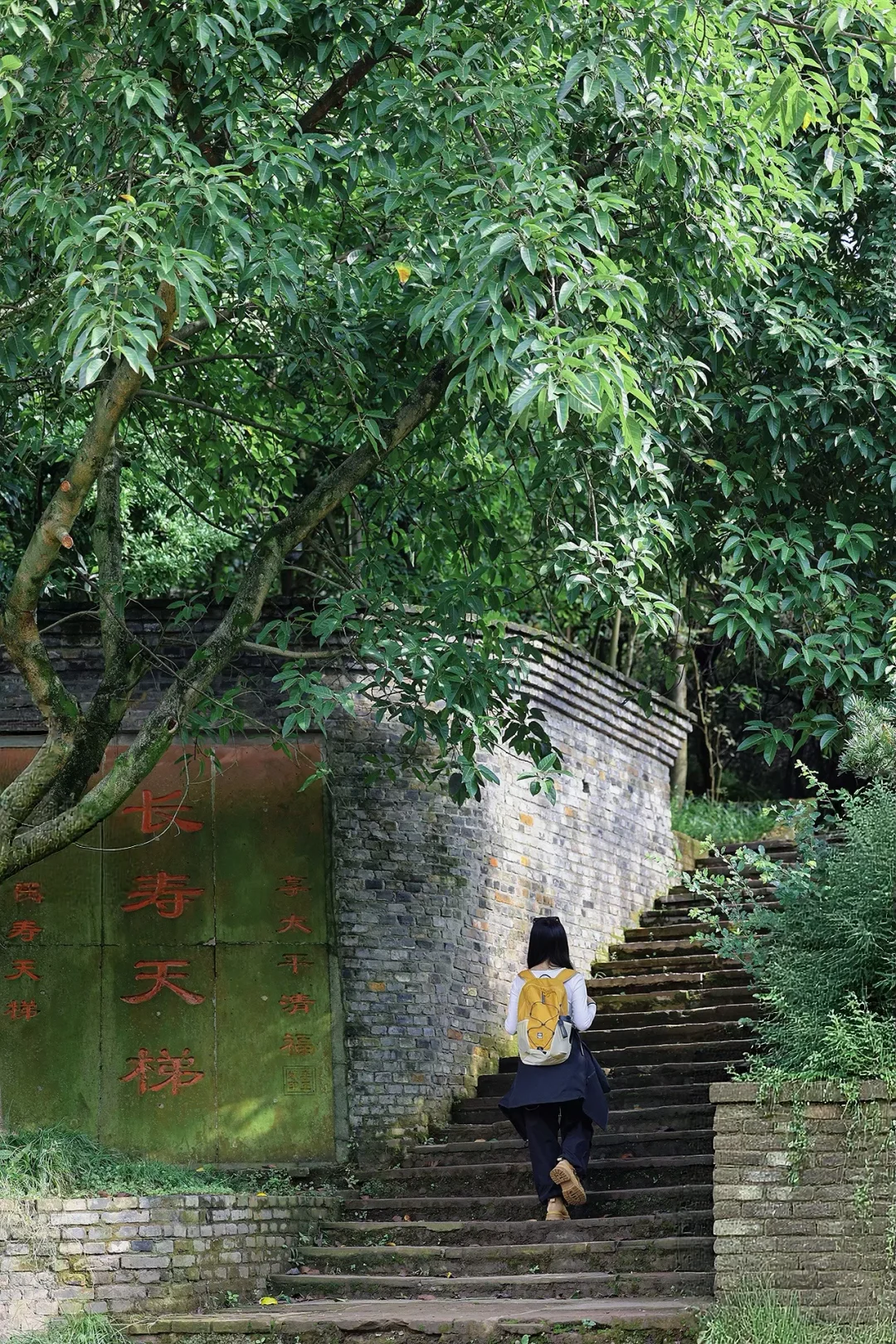 成都近郊🍂 公交直达的秋日野趣徒步路线～