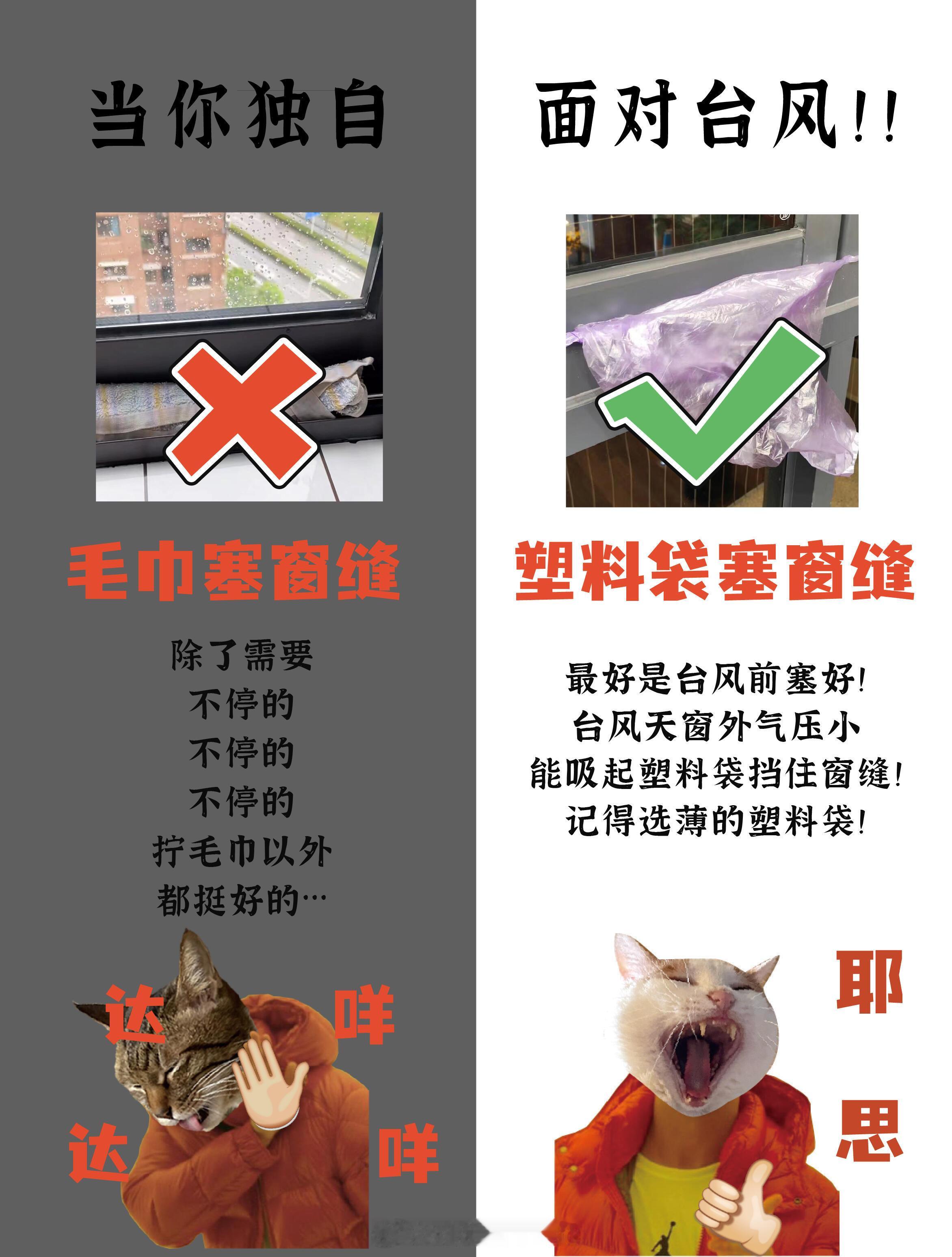 台风天防护指南速看 ​​​