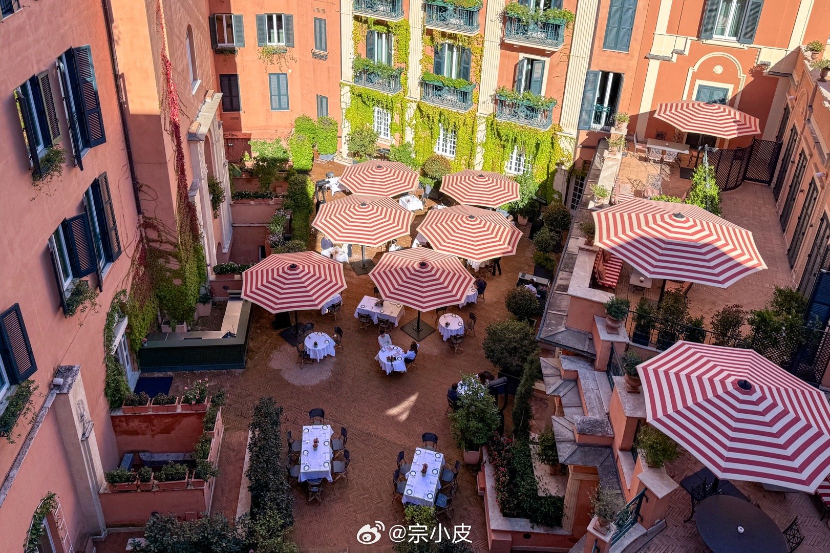 超爱Hotel De la Ville的这个花园餐厅，每天的早餐都是在这里吃，安