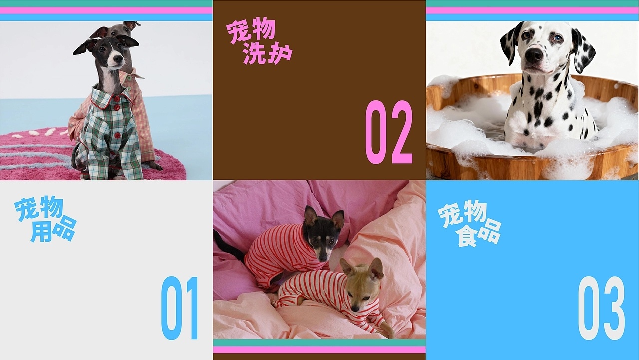 遇见艺术 《PawJoy》宠物品牌全案by 召物计划 