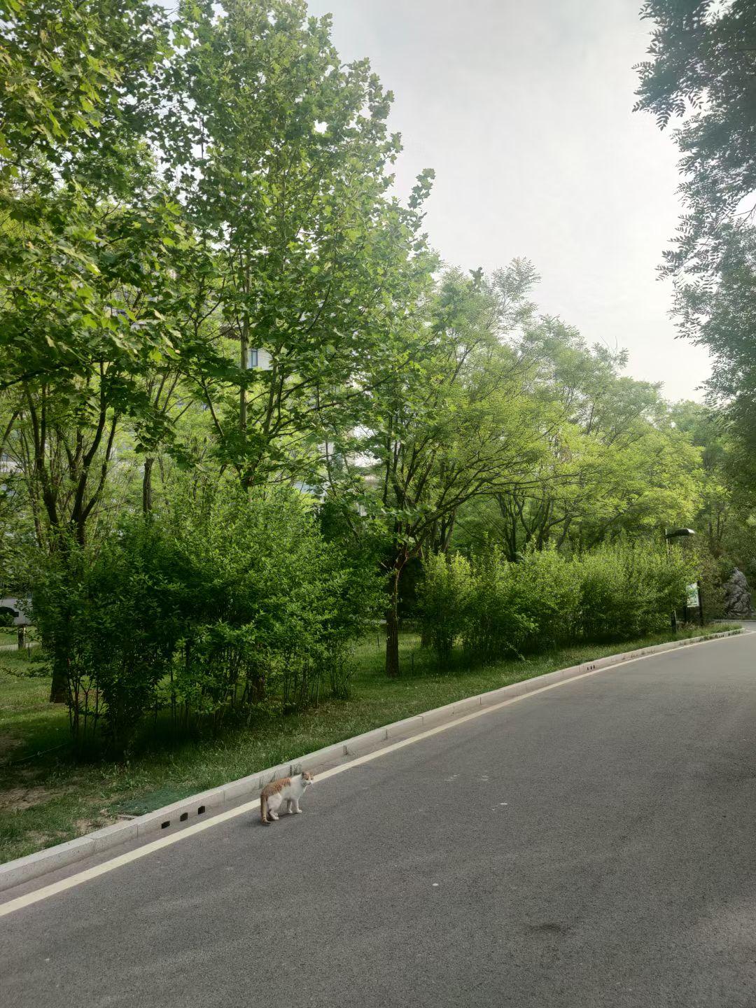 0451.打卡：河北衡水。丙午马年的第六次离京。