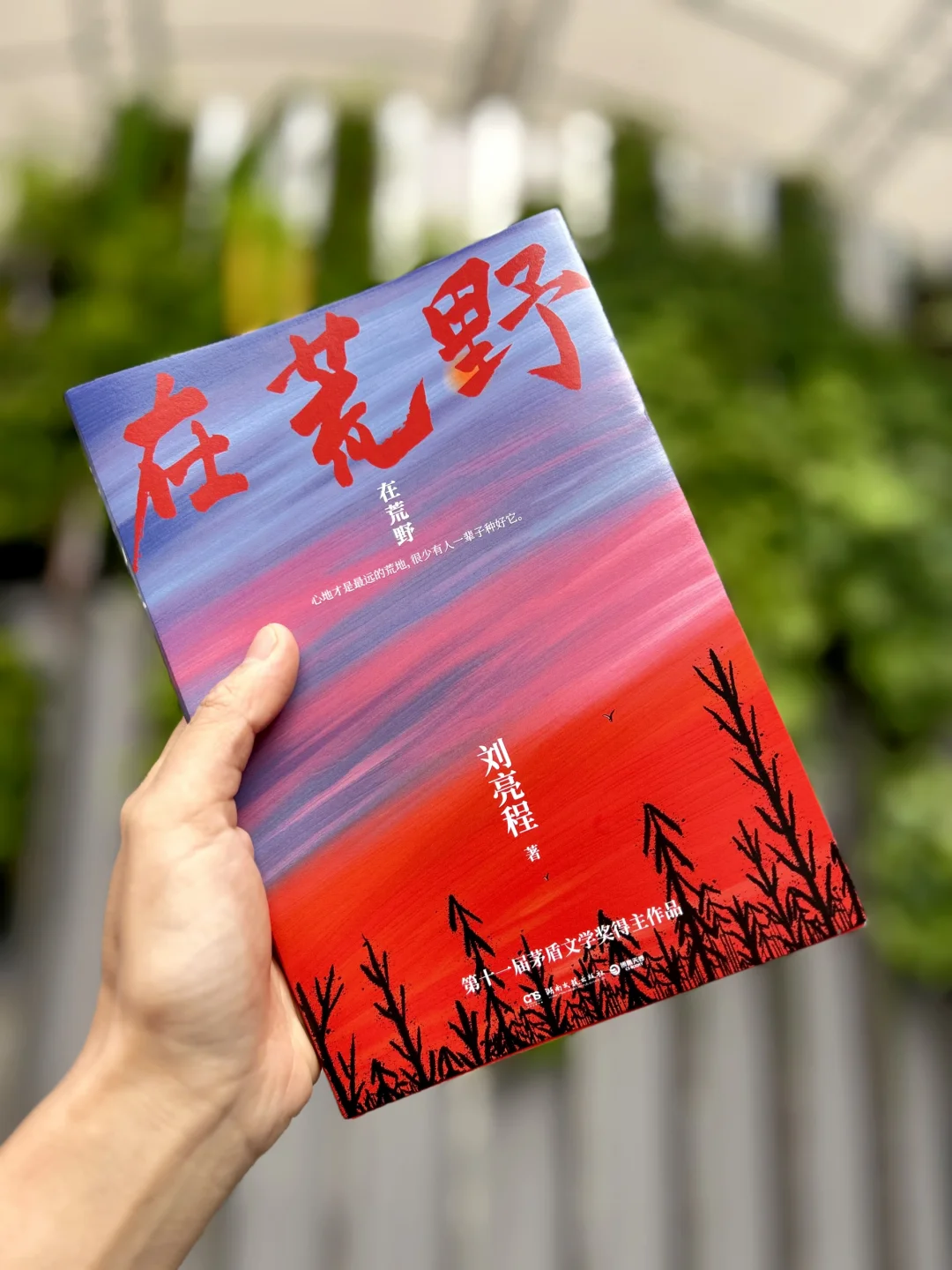 谁懂啊！他的书真的可以往烂了读‼️‼️