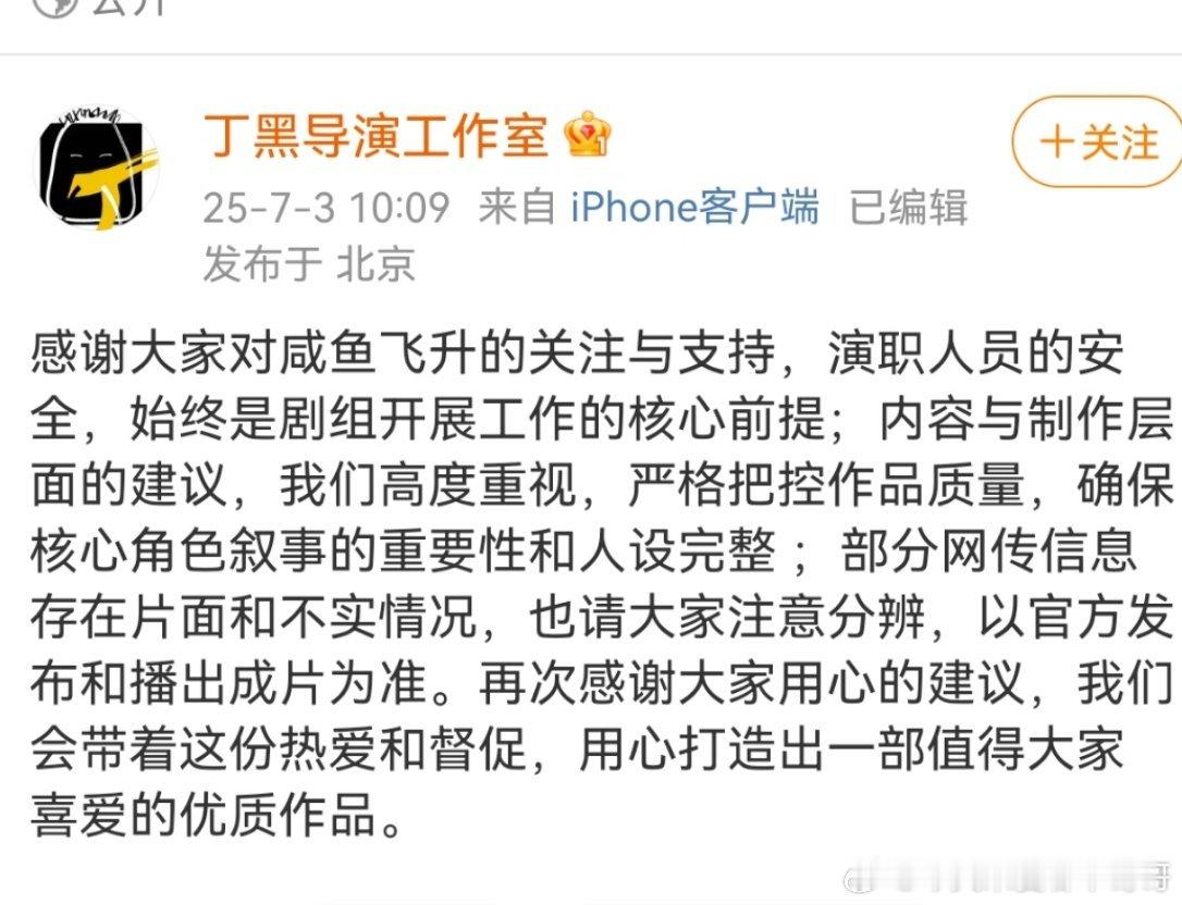 咸鱼飞升导演丁黑回应：会严格把控作品质量，保证核心叙事的重要性和人设的完整 ​​