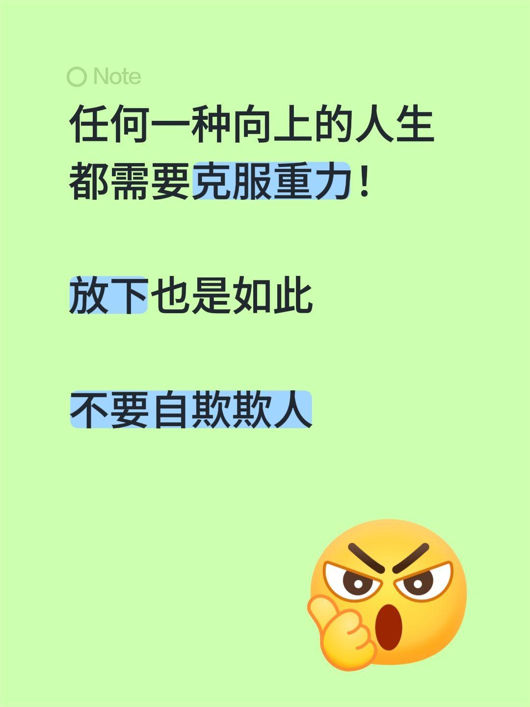 任何一种向上的人生都需要克服重力！

放下也是如此

不要自欺欺人