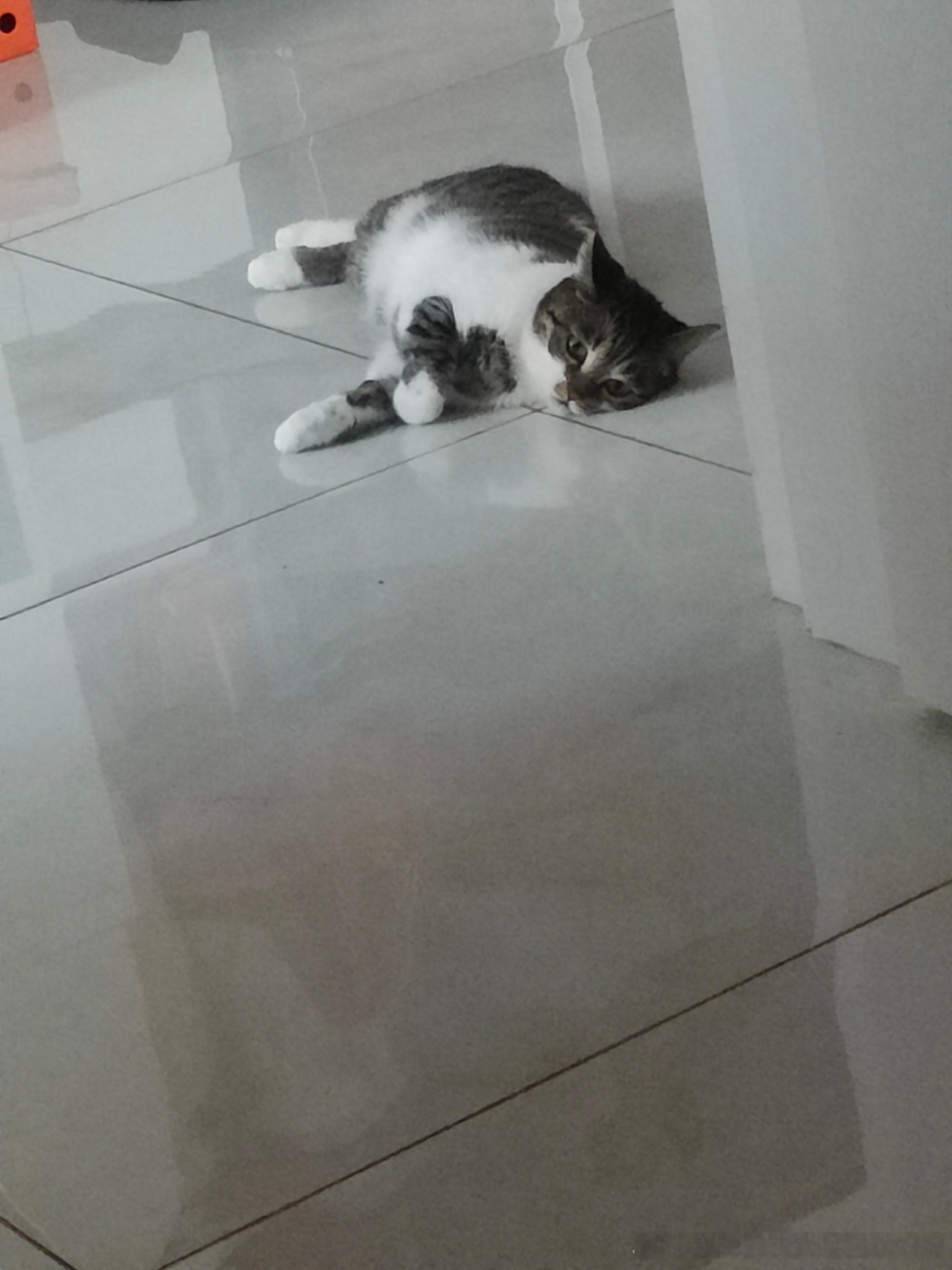 我家二胎圆乎乎 ​​​