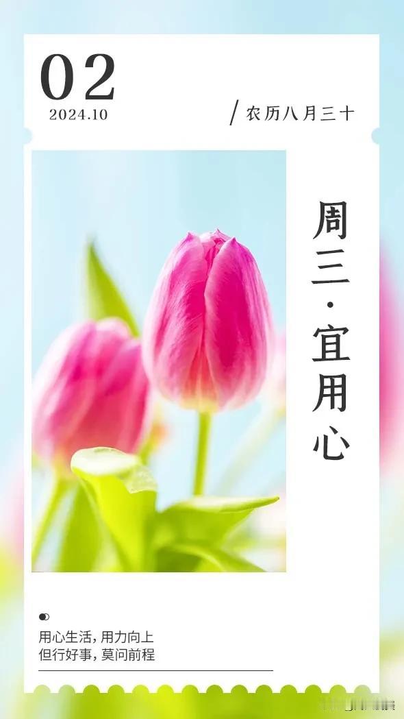 不期待突如其来的好运，只愿付出的努力终有回报，愿每个认真努力的现在，会有一个水到