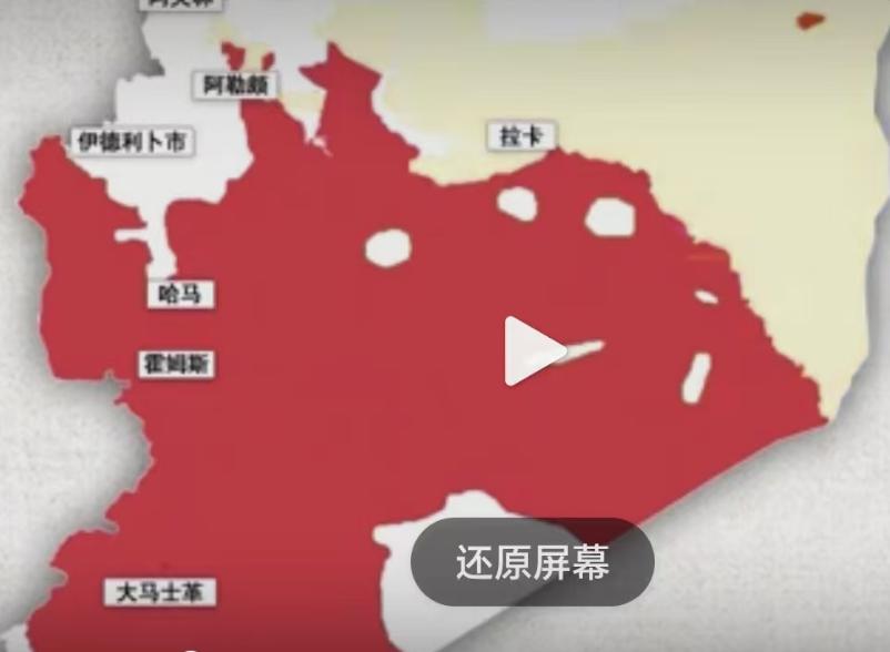 12月3日叙利亚最新局势地图。
图中红色区域为叙利亚政府军控制，大家看到叙利亚政