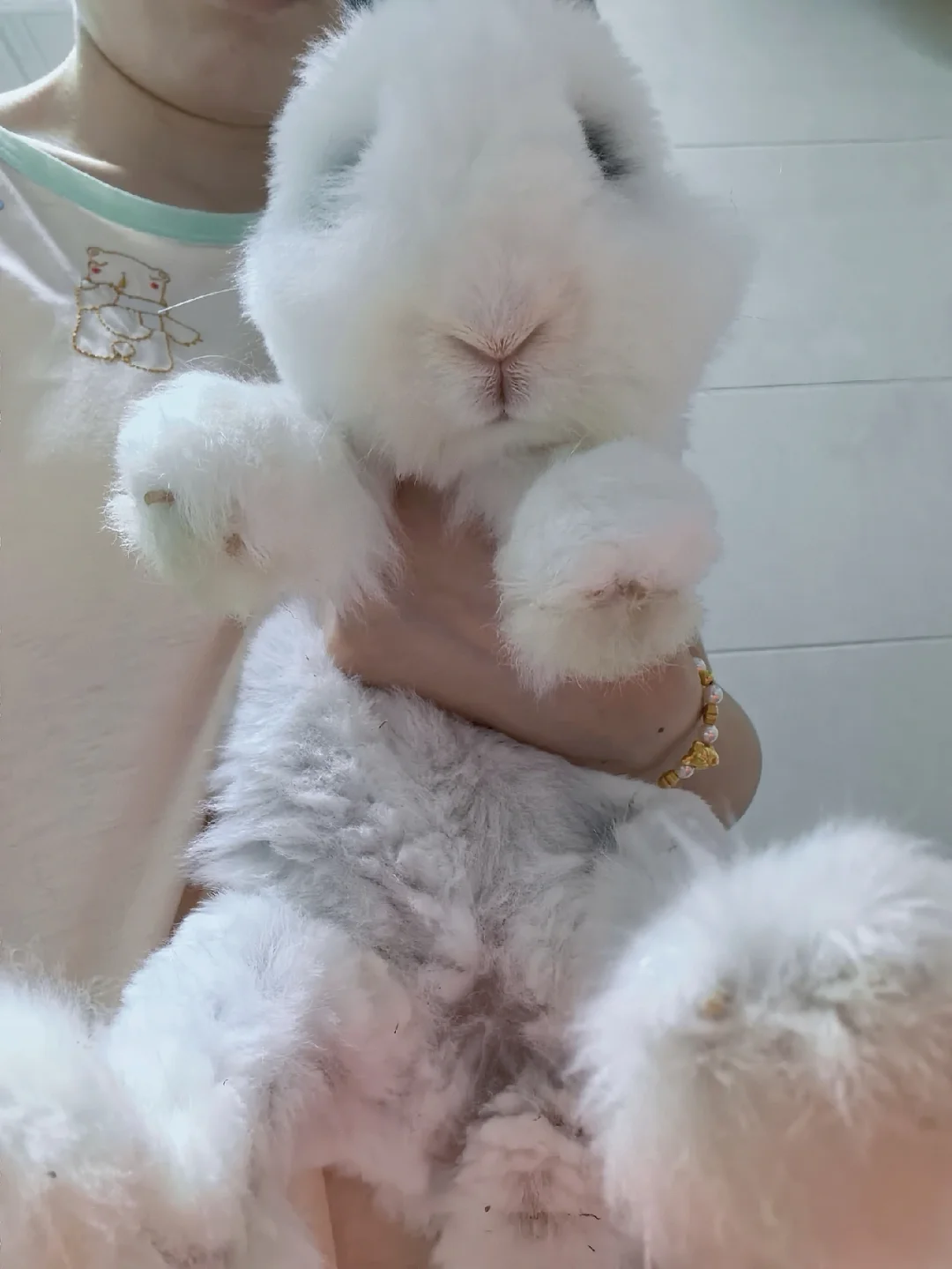 谁还不是个宝宝啦