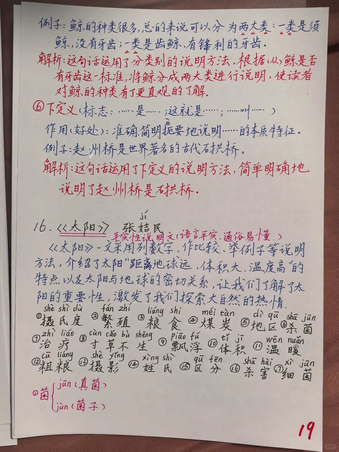 五上语文—说明文的方法及使用