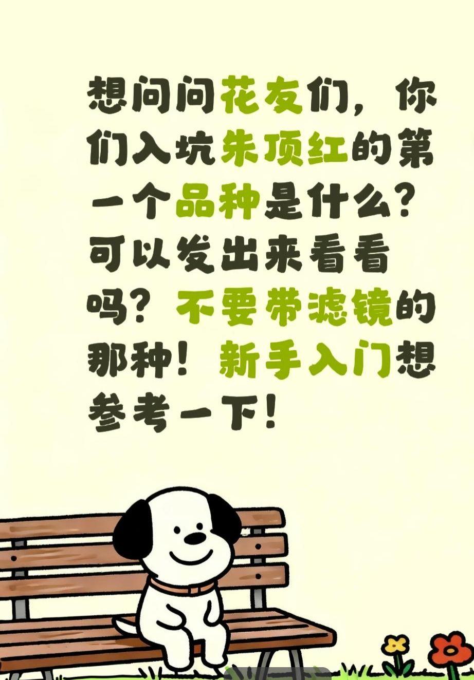 你们入坑朱顶红的第一个品种是啥？真实生活分享计划 朱顶红红红火火 抖音图文种草计