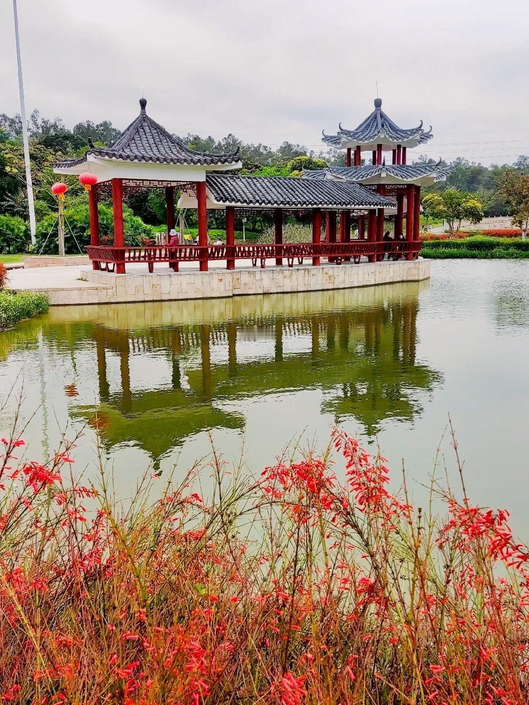 老年养生别瞎忙！5个“金点子”，轻松活过九十九

人到老年，养生不是比谁吃得贵、