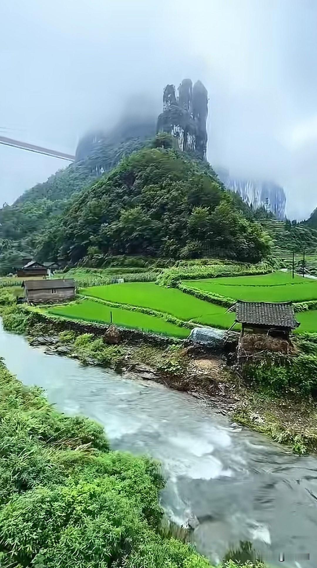 七律·随序
檐外云流不系踪，
花开花落自从容。
风穿林叶声无住，
月过轩窗影暂逢