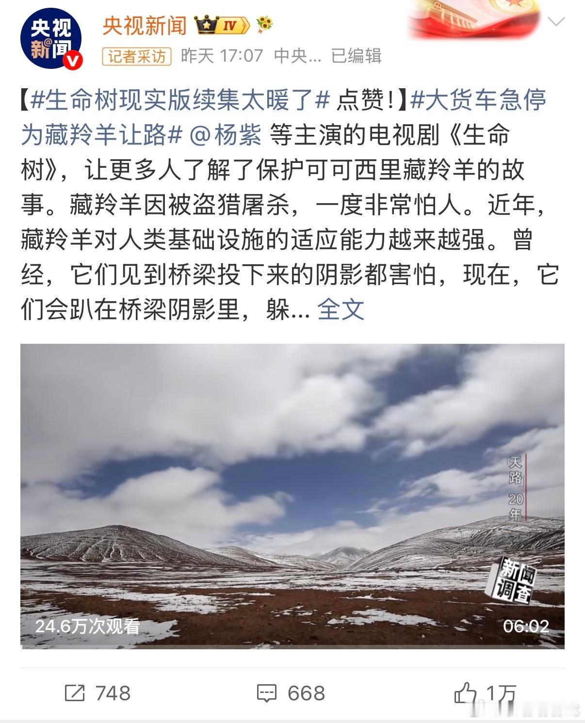 央视新闻6天发了9条杨紫生命树 杨紫时代面孔月度人物