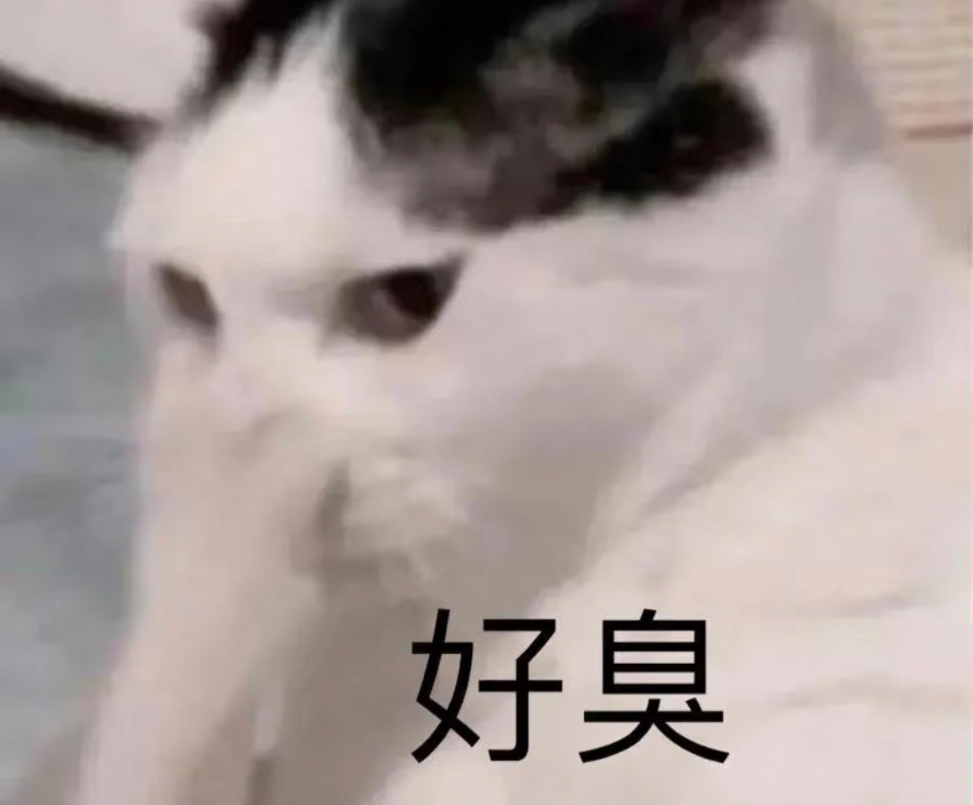 2026年了竟然还有仙粉在给庄勾冻选男演员？你没事吧？某稠南都有异食P吻上去，选