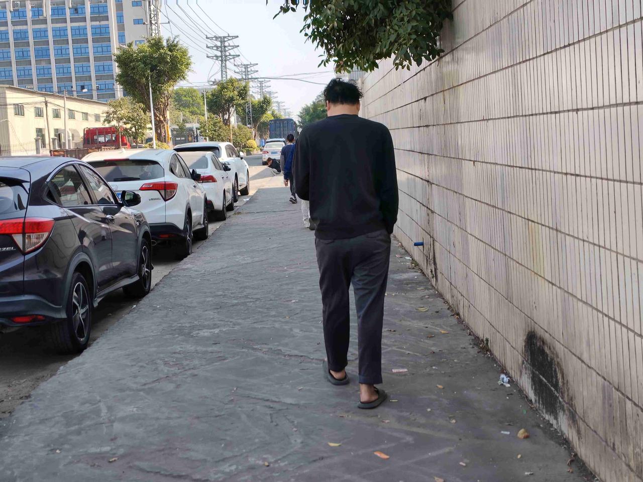 我的今日状态：😁轻松愉快
我这里的天气：☀️晴天
东莞属亚热带气候，冬季也不太