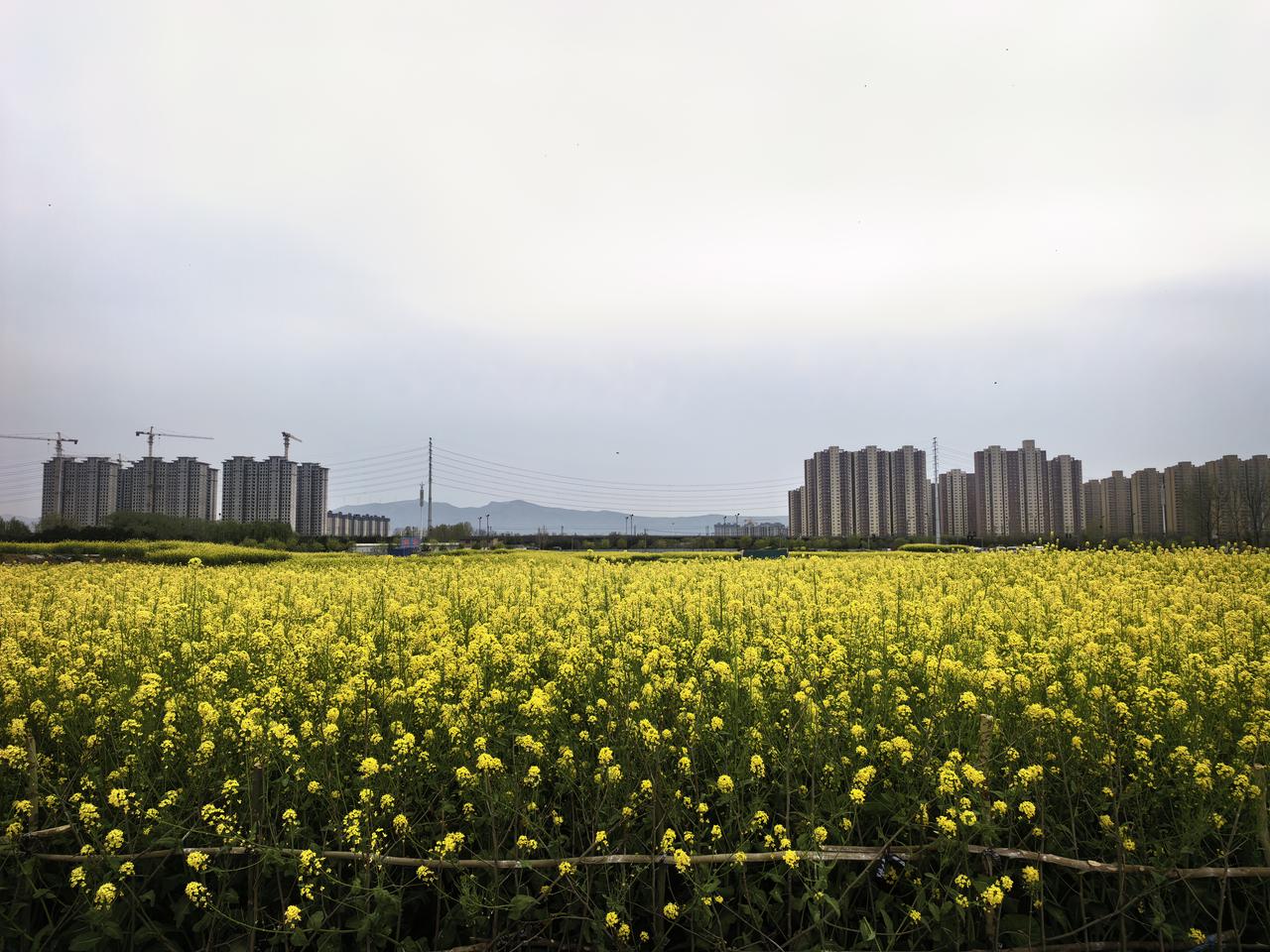 聊一聊志愿填报辅导的事情
张雪峰带动了志愿填报辅导这一行业。
张做的是高考志愿填