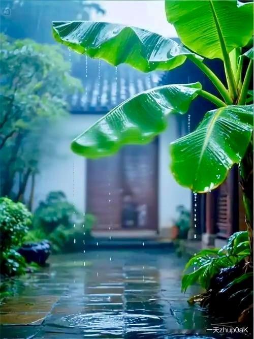 《漫吟》
——清.缪公恩
梧桐瑟瑟竹萧萧，
閒捲湘㡘坐寂寥。
碎响何来清彻耳，