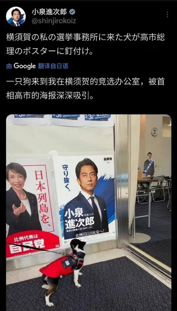 看看小泉进次郎说的话，都不好意思复述一遍。以前就说过，这厮不是智商不足，现在看再