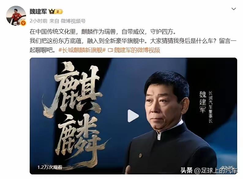 不是坦克900，难道是坦克700 Hi4-Z神兽版？

魏牌V9X还没上市，长城