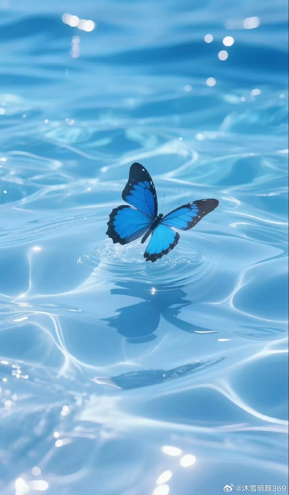 “能够掌控自己的人不会被任何外界事物所控制。” ​​​