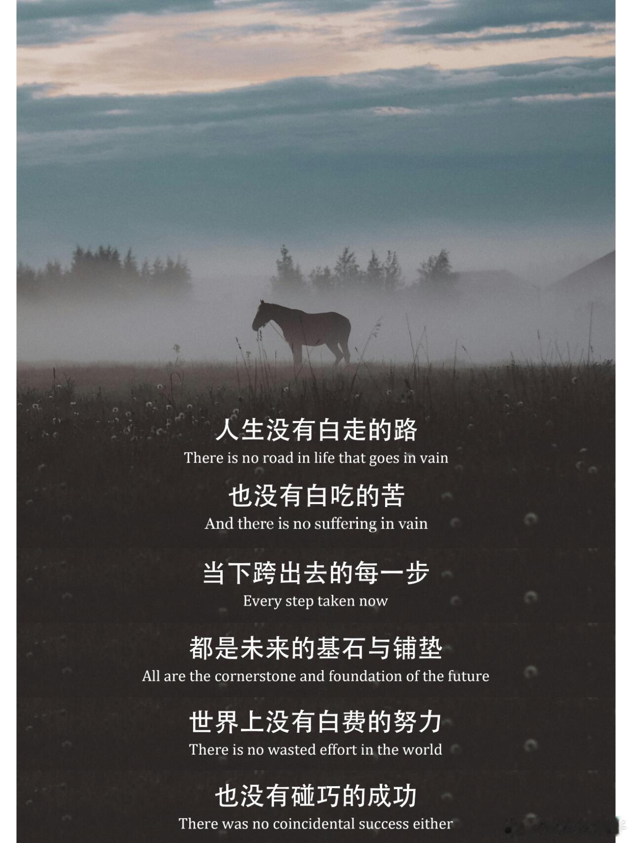 2024我走过的每条路都算数 我吃过的亏会提醒我以后都不要再犯相同的错误，吃一堑