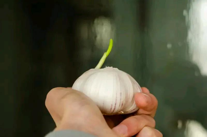 一个医生朋友告诉我的八个真相：
1、腐乳致癌，假的！

2、大蒜防癌，假的！
