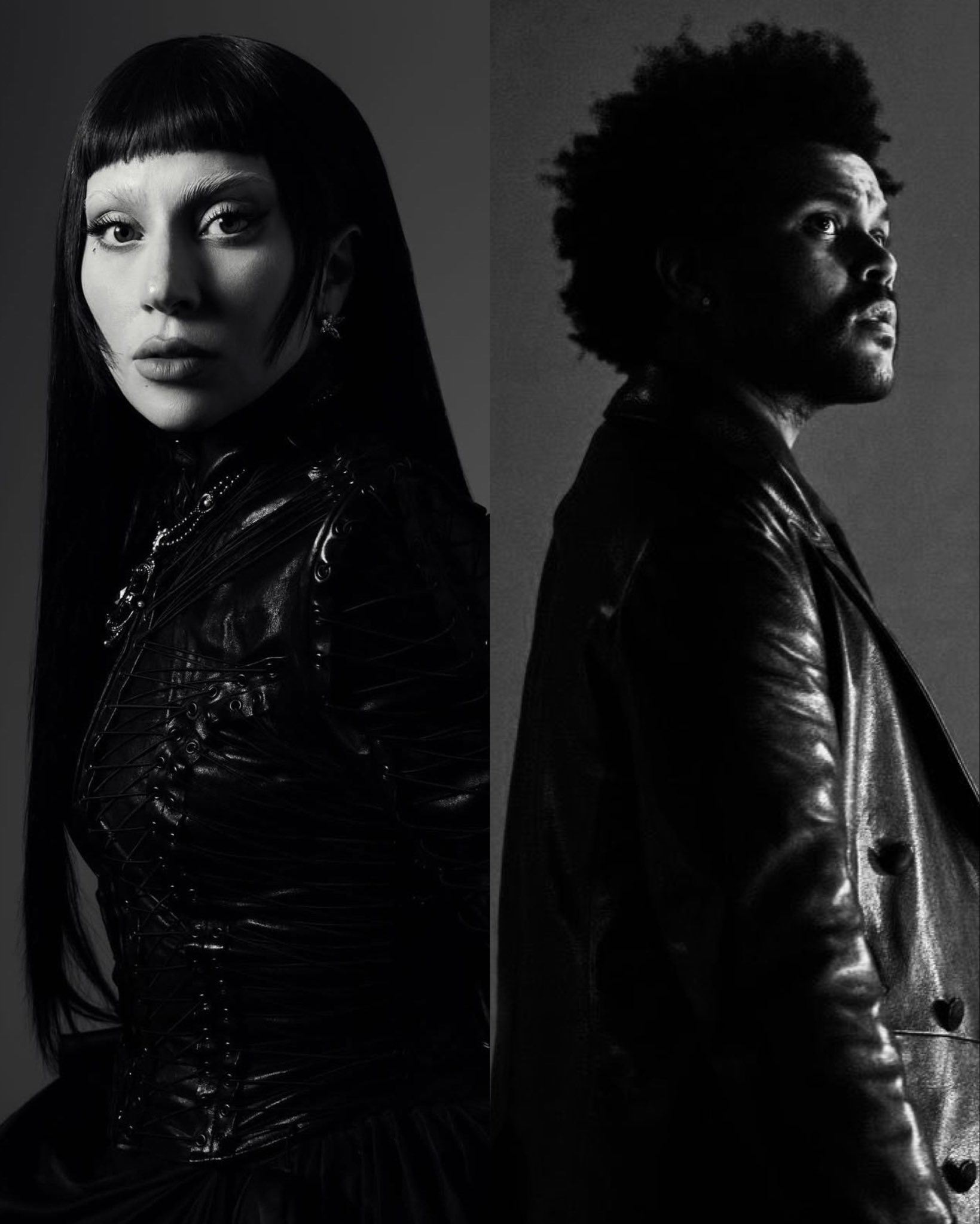 网传盆栽The Weeknd和Lady Gaga即将合作拍摄一部高预算的mv！G