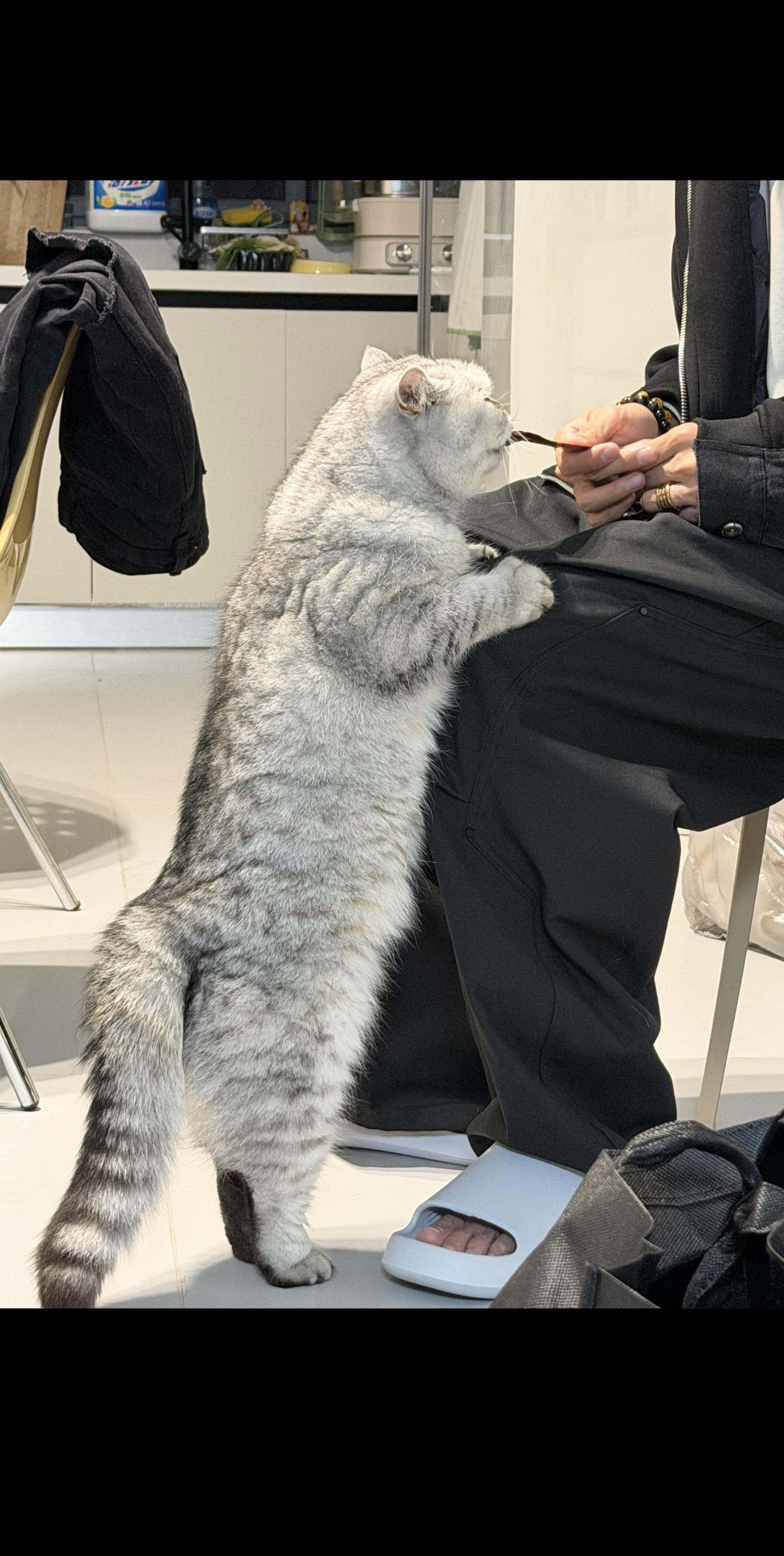 没更新的日子 都有在好好生活。是的！！！ 我们很幸福！！！