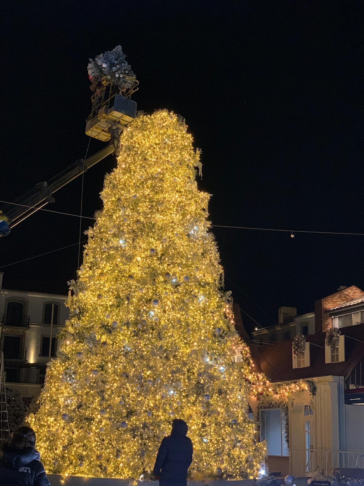 ✨⛲️圣诞🎄树树尖尖加载完成于是拥有了一些美妙的节日氛围🎠𝑷𝒊𝒏𝒈?