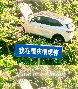 重庆创造这种非自然景点（轻轨穿楼、哈儿山等）的能力太强了，我看网上已经有给昨天鹅