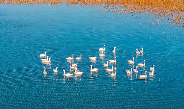 一位哲学老师说：
真正拉开人与人差距的，不是努力，而是这4种顶级思维
很多人一辈