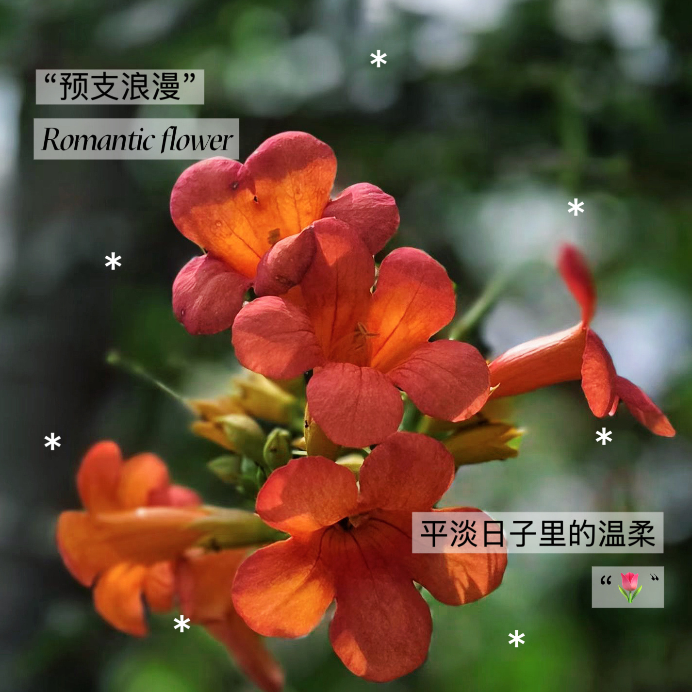 日子重复而平凡，但每一天都是独一无二的，今天的阳光和昨天不同，今天的我们比昨天多