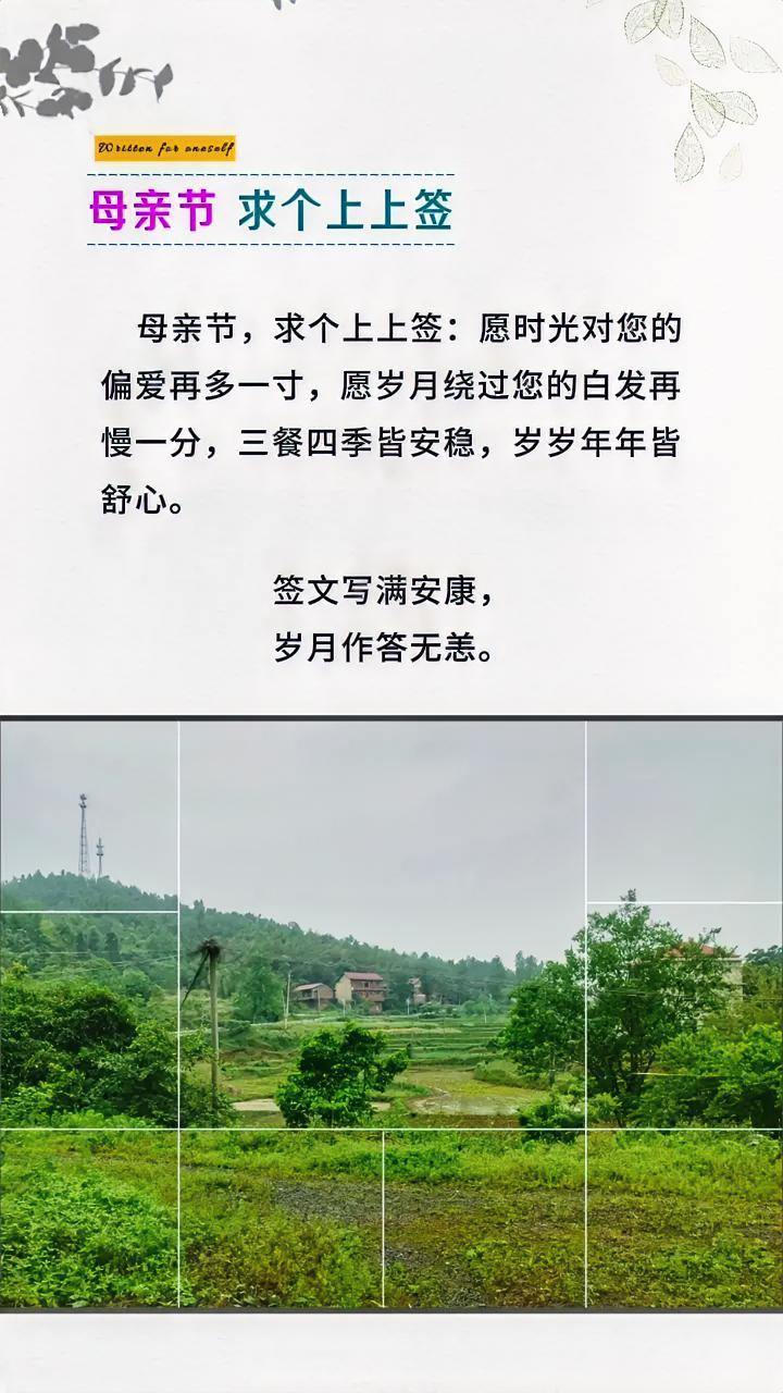 人生只有一次，好好爱自己的母亲吧！母爱从来不会变质，时间越久越……

草枯了来年