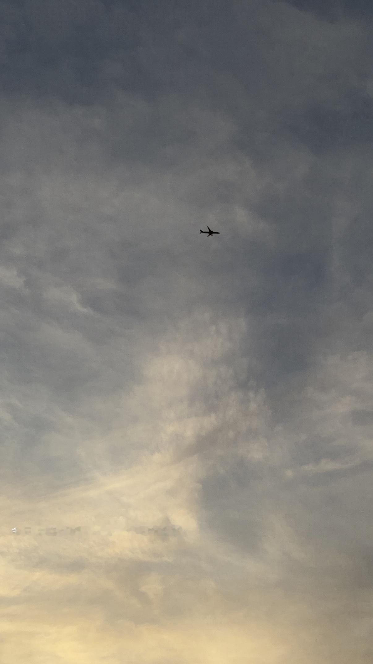 梅澤美波　umegram