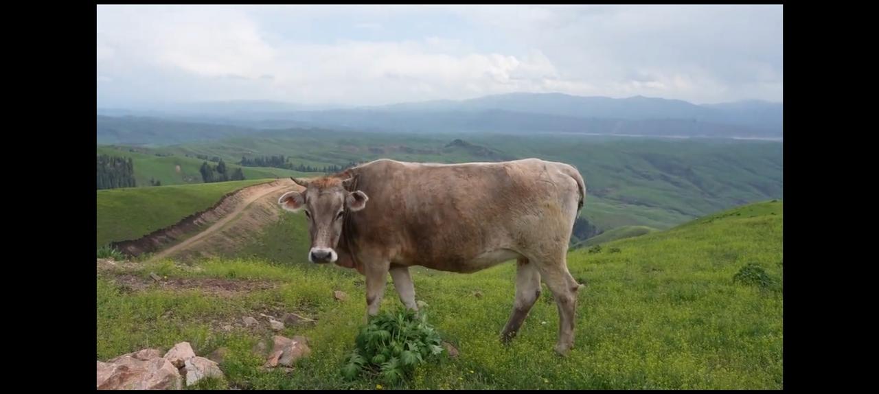 法律公平：
法庭上法官说：“不交费就是违法”
却就是不说：“服务名存实亡也违法”
