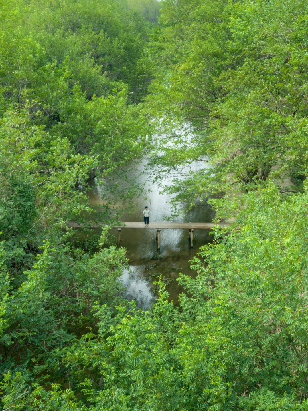 徽州城下原生态的古村落，仿佛步入绿野仙踪