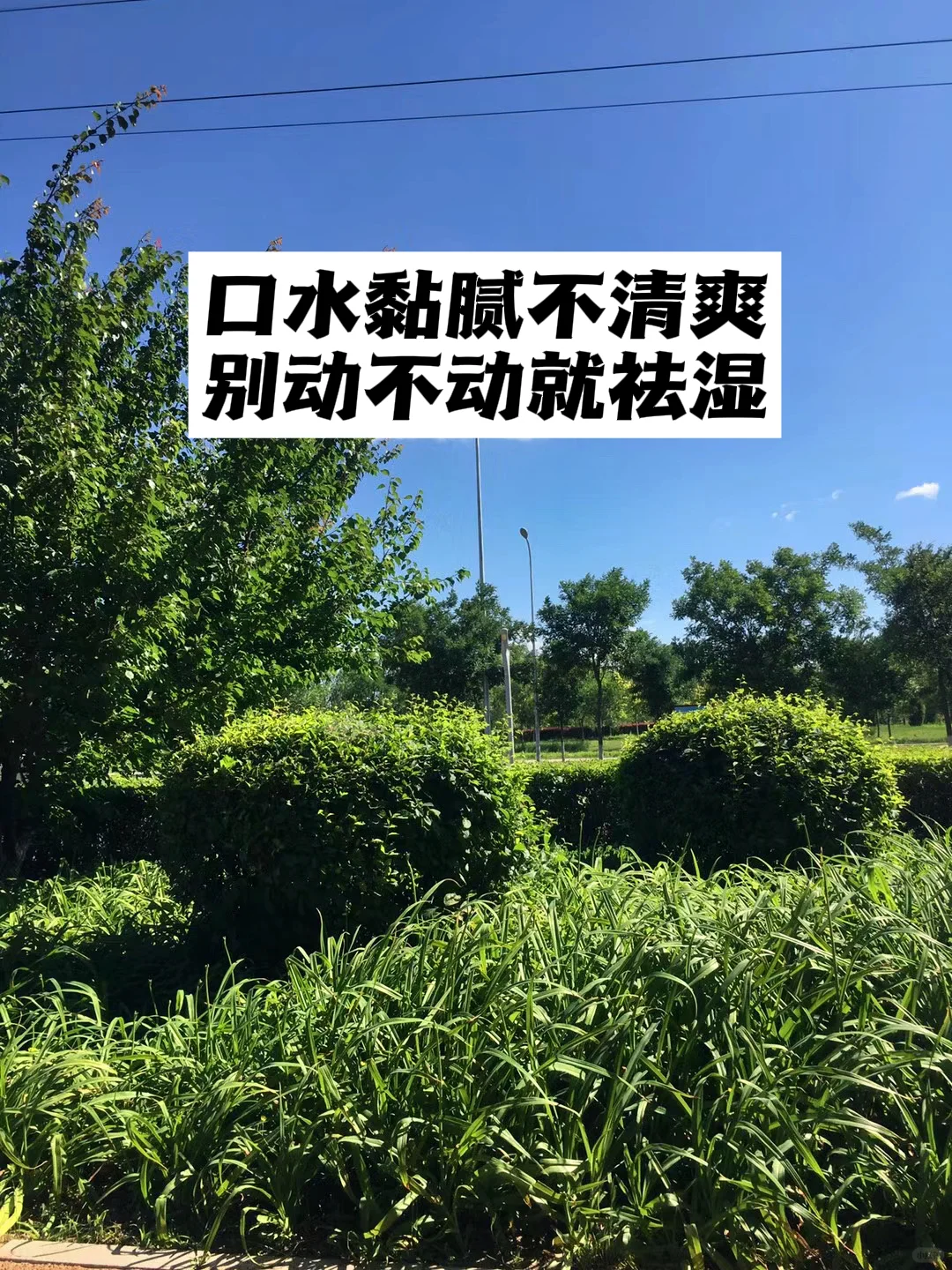 口水黏腻不清爽，别动不动就祛湿.