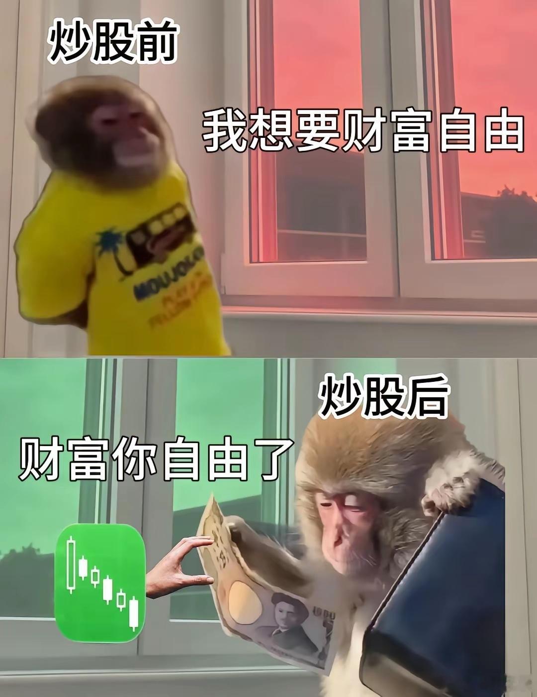 炒股前VS炒股后 ​​​