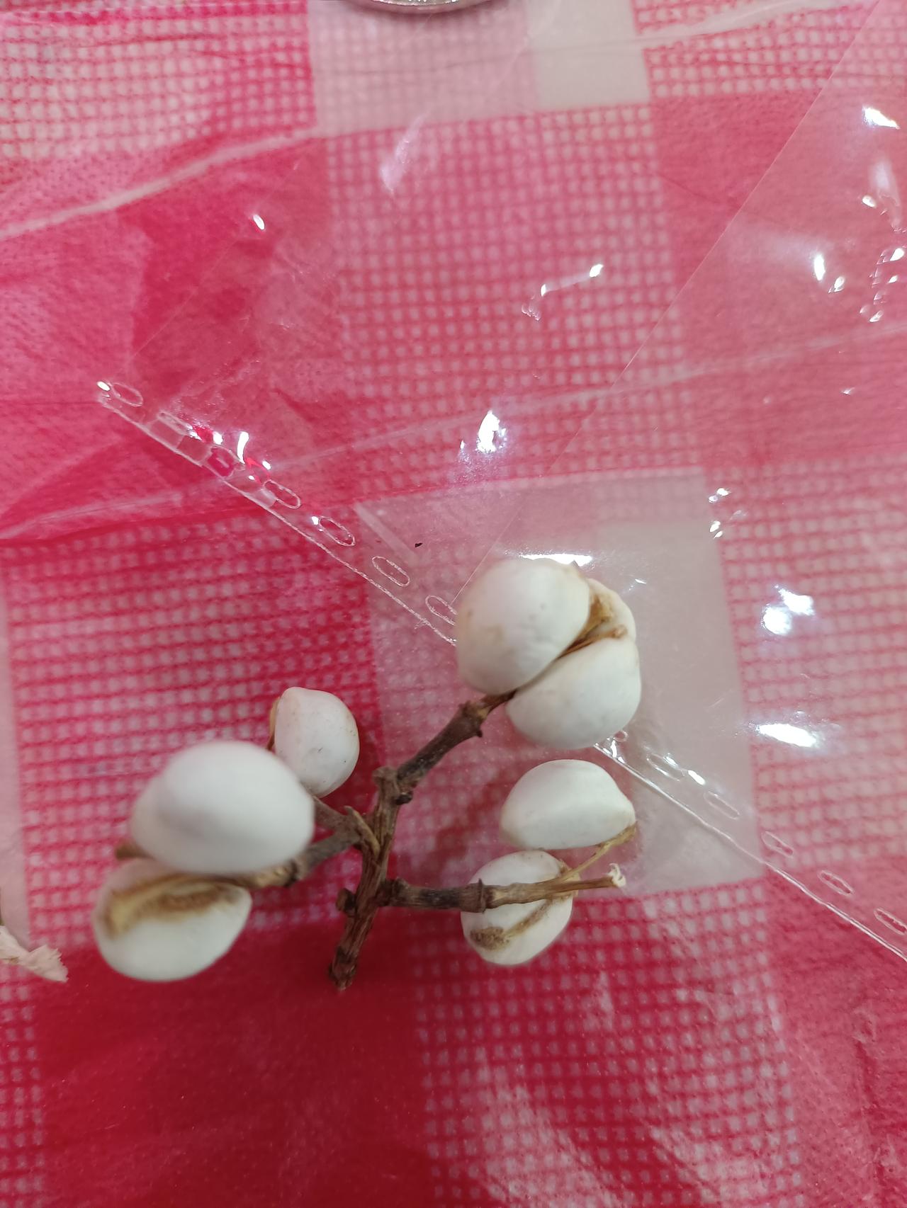 今年春假，多地与清明节连休6天，这背后有何深意？
今年春假期间，多地中小学与清明