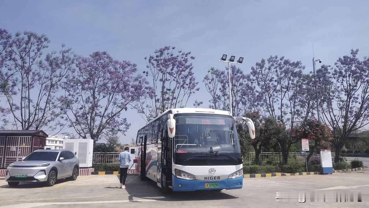 贾浅浅论文涉嫌抄袭被调查了，大概广大网友等这一天已经等了很久吧？
其实我还真不想